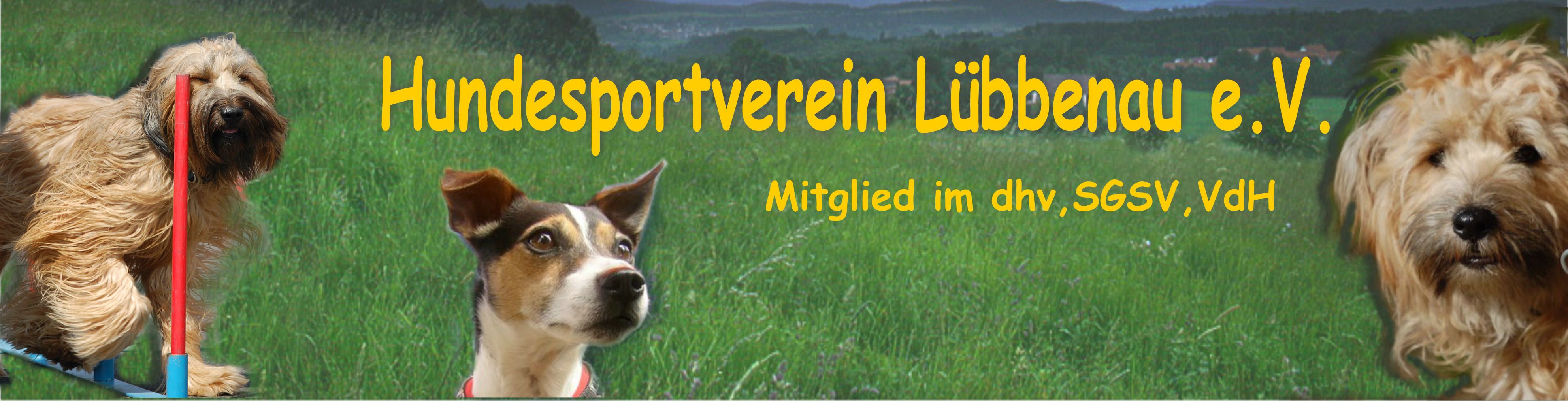 www.HSVLuebbenau.de